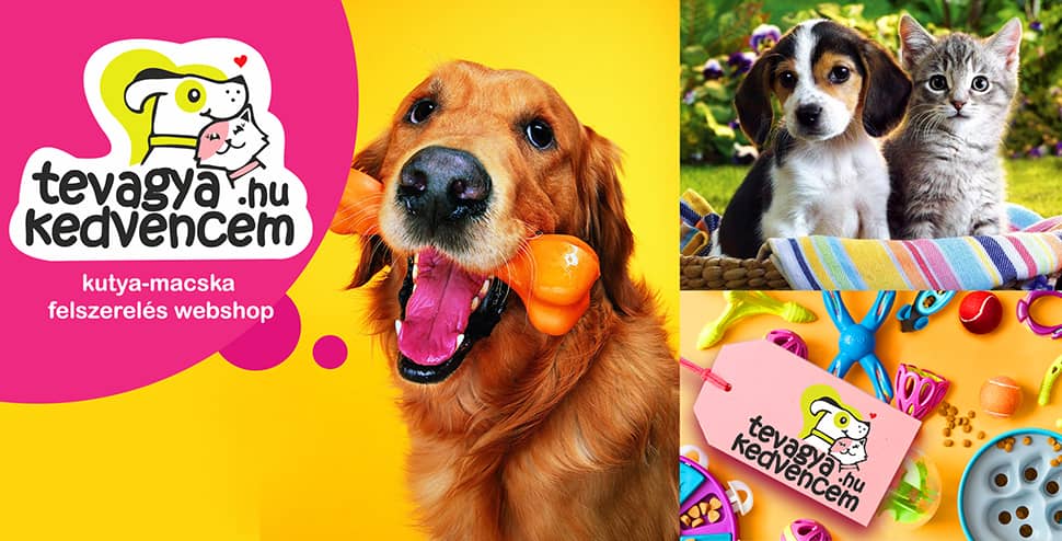 webshop arculattervezés