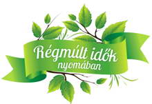 levéltáros, családfakutató látványos logótervezésja