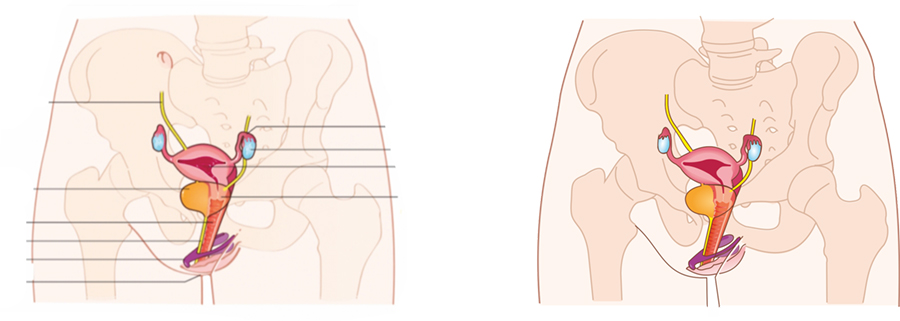 grafika ujratervezes
