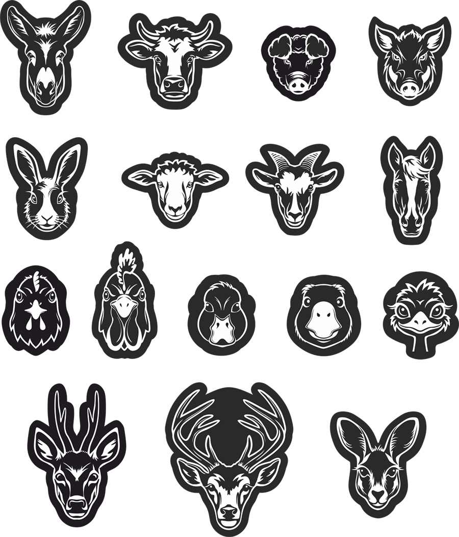 állati portré grafika