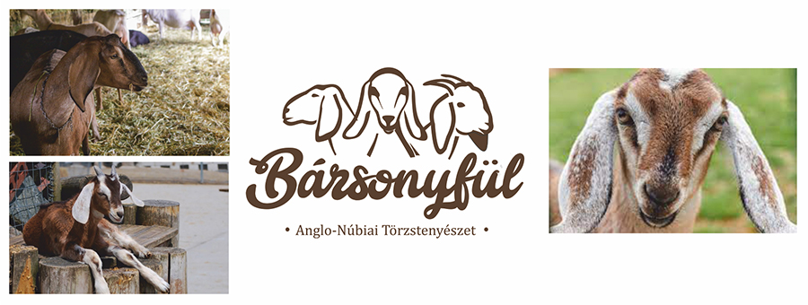 grafika fenykep alapjan