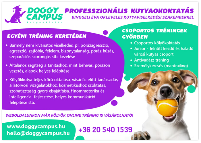 kutyaoktatas szórólap