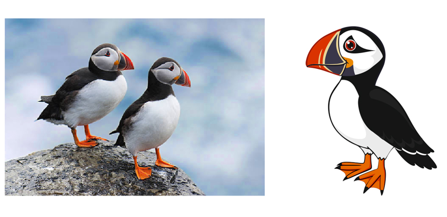 figura rajzolás foto alapjan