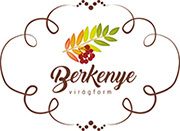 viragbolt logótervezés