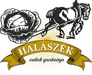 savanyusag logótervezés