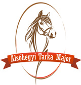 lovastanya logótervezés