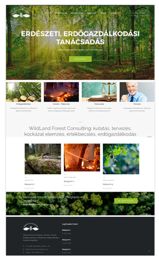 weboldal készítés